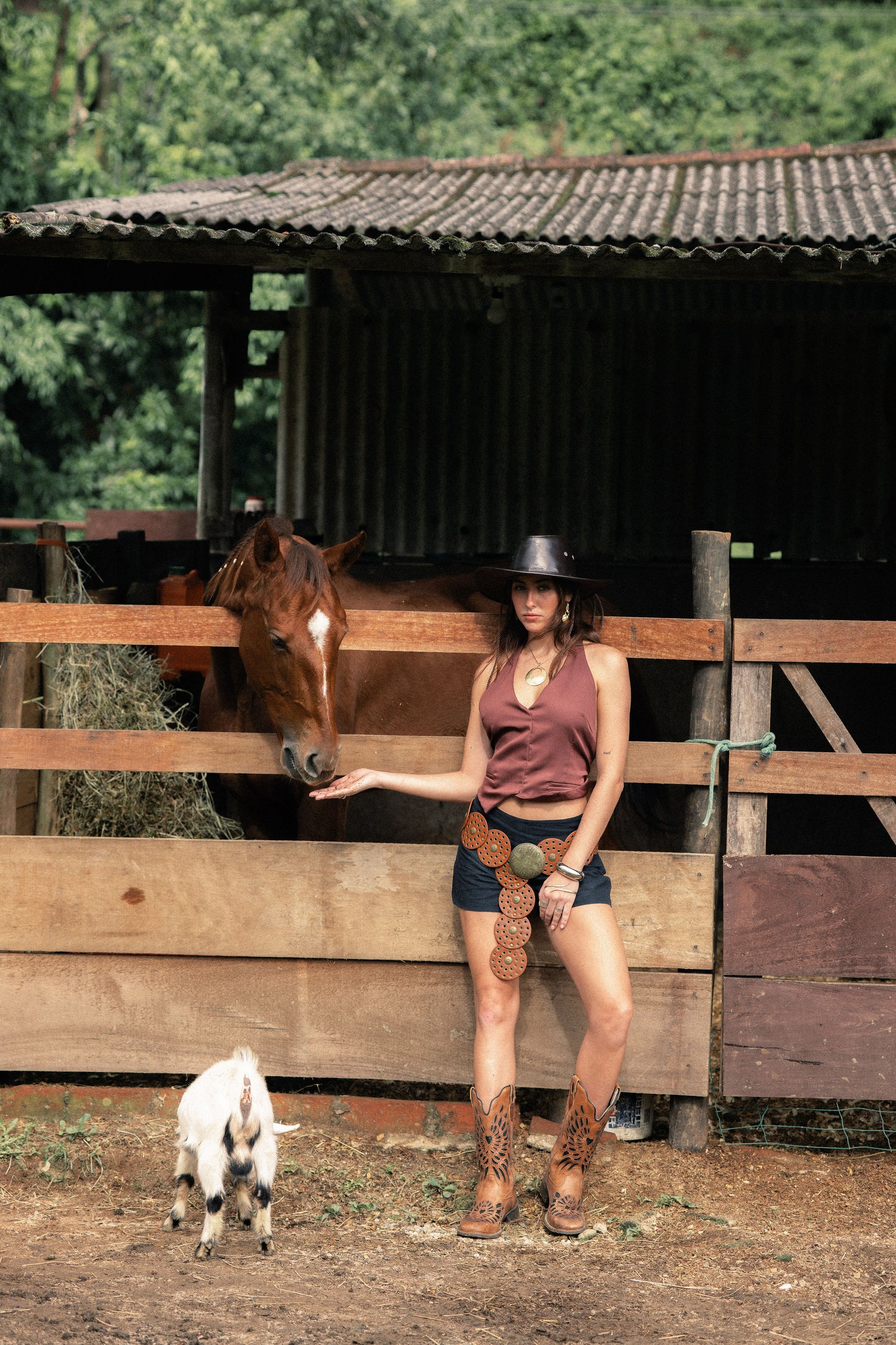 Shorts Tropicana Black