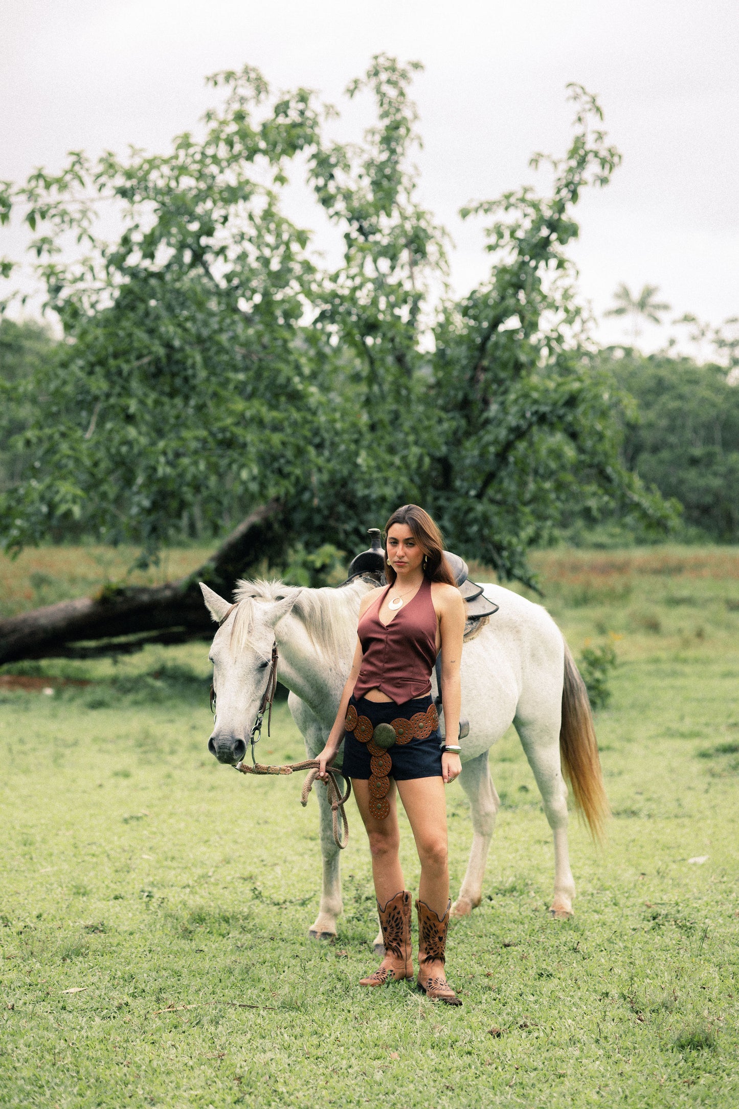 Shorts Tropicana Black