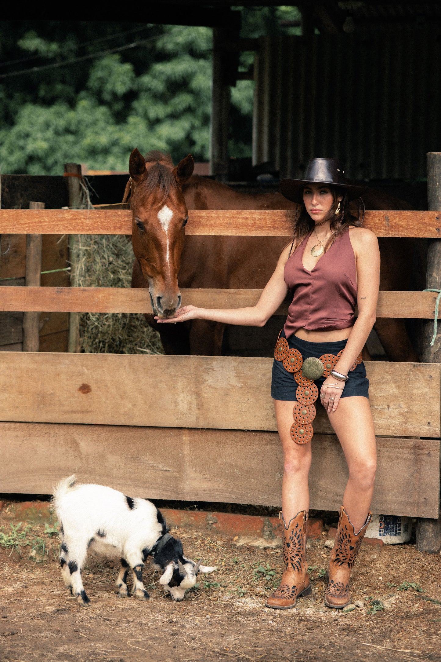 Shorts Tropicana Black